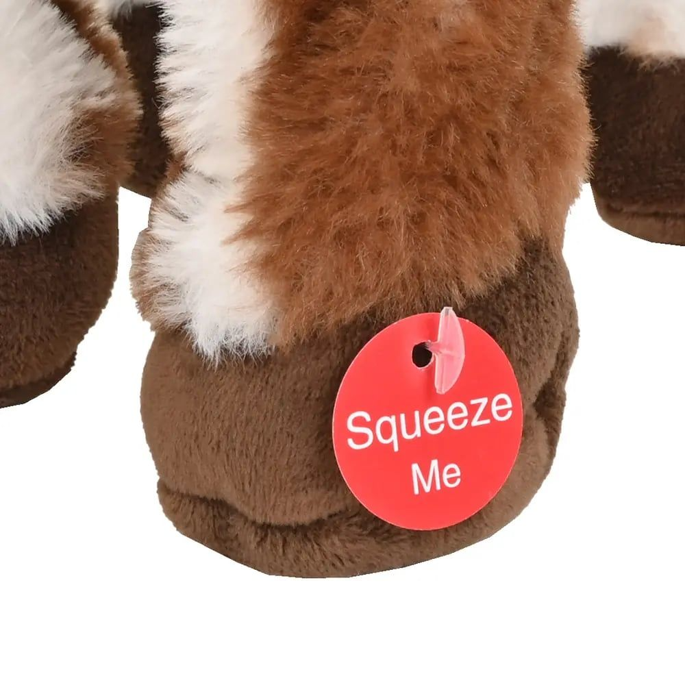 Preview /694a6cbedc58f60009722470/2026/01/09/product-img-6960d73d6f539c4f6d59bb1e.png